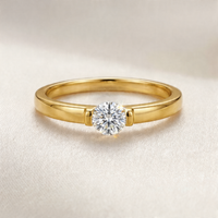 <tc>Ring Glanspunkt – Skönhet i suspension</tc>